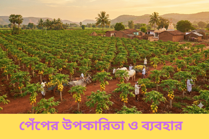 পেঁপের উপকারিতা